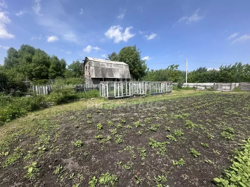 Дом в Брянская область, Карачев Мичуринец СДТ,  (20 м) - Фото 1