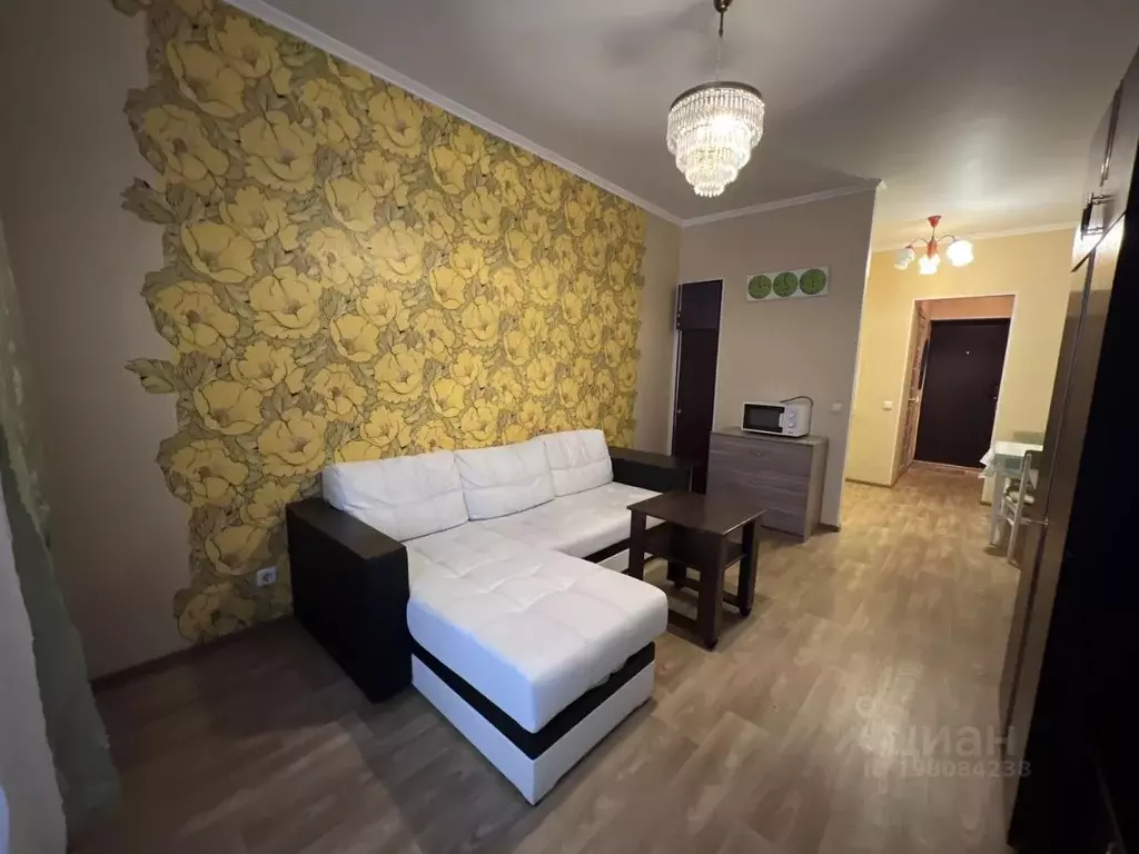 Студия Санкт-Петербург просп. Просвещения, 43 (25.0 м) - Фото 2