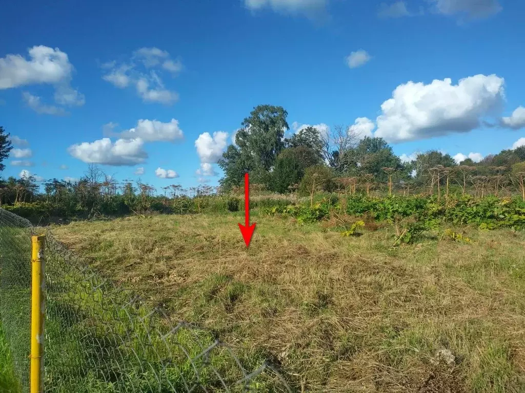 Участок в Калининградская область, Гурьевский муниципальный округ, ... - Фото 1