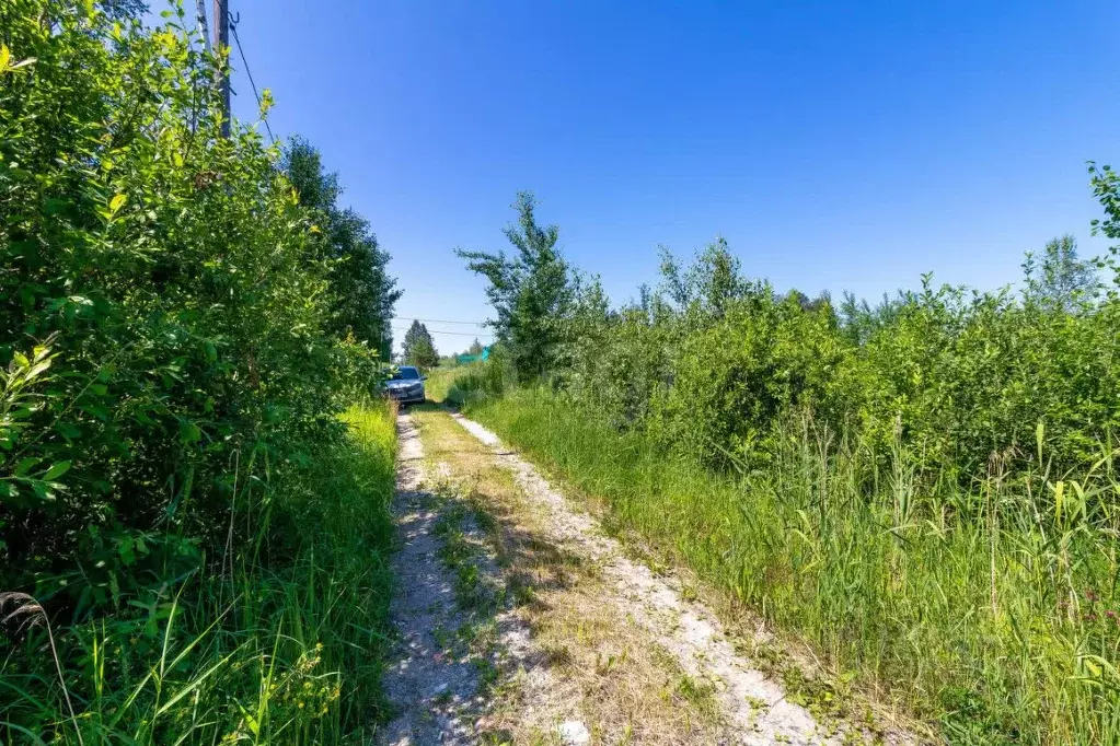 Участок в Тюменская область, Нижнетавдинский муниципальный округ, ... - Фото 1