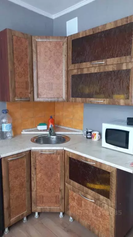 1-к кв. Алтайский край, Барнаул ул. Весенняя, 4 (33.0 м) - Фото 0