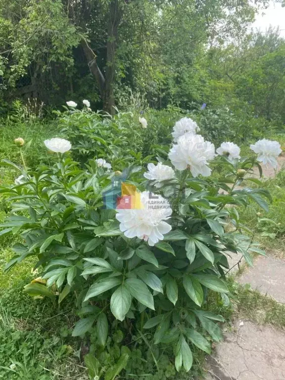 Дом в Тульская область, Тула Металлург-5 СНТ, 56 (30 м) - Фото 2