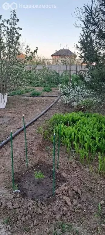 Участок в посёлок Кирпичного Завода № 1, Зелёная улица (6 м) - Фото 1