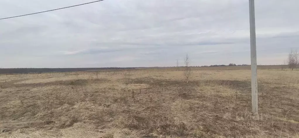 Участок в Московская область, Талдомский городской округ, д. ... - Фото 0