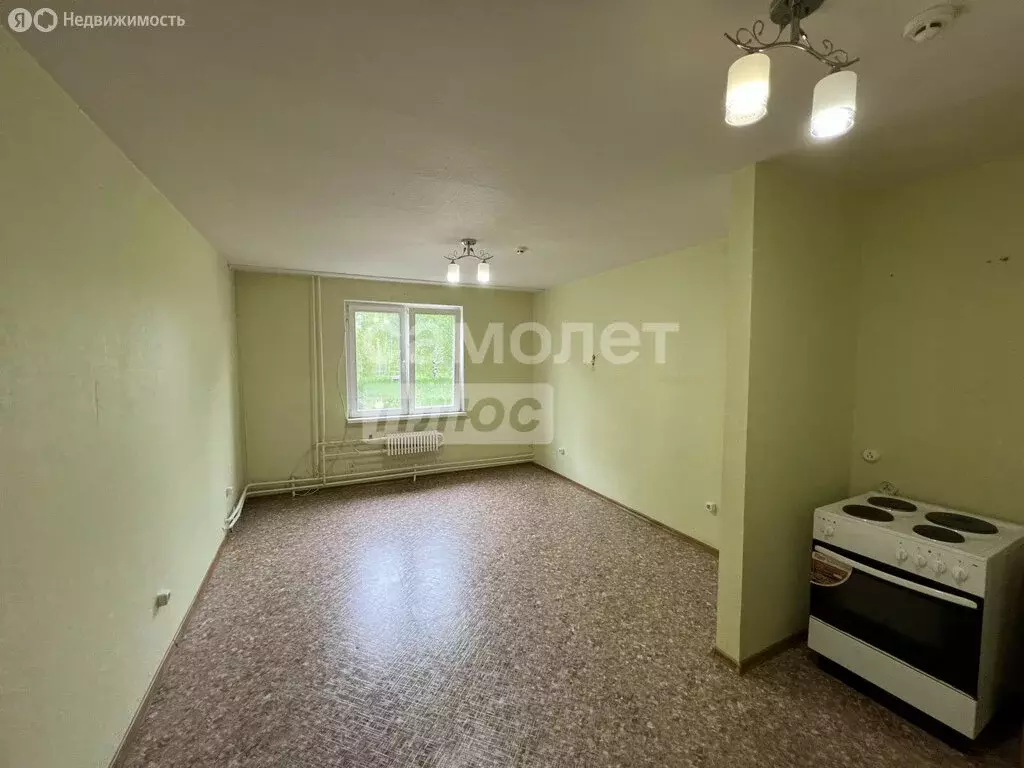 Квартира-студия: село Бурмакино, Школьная улица, 14 (25.2 м) - Фото 1