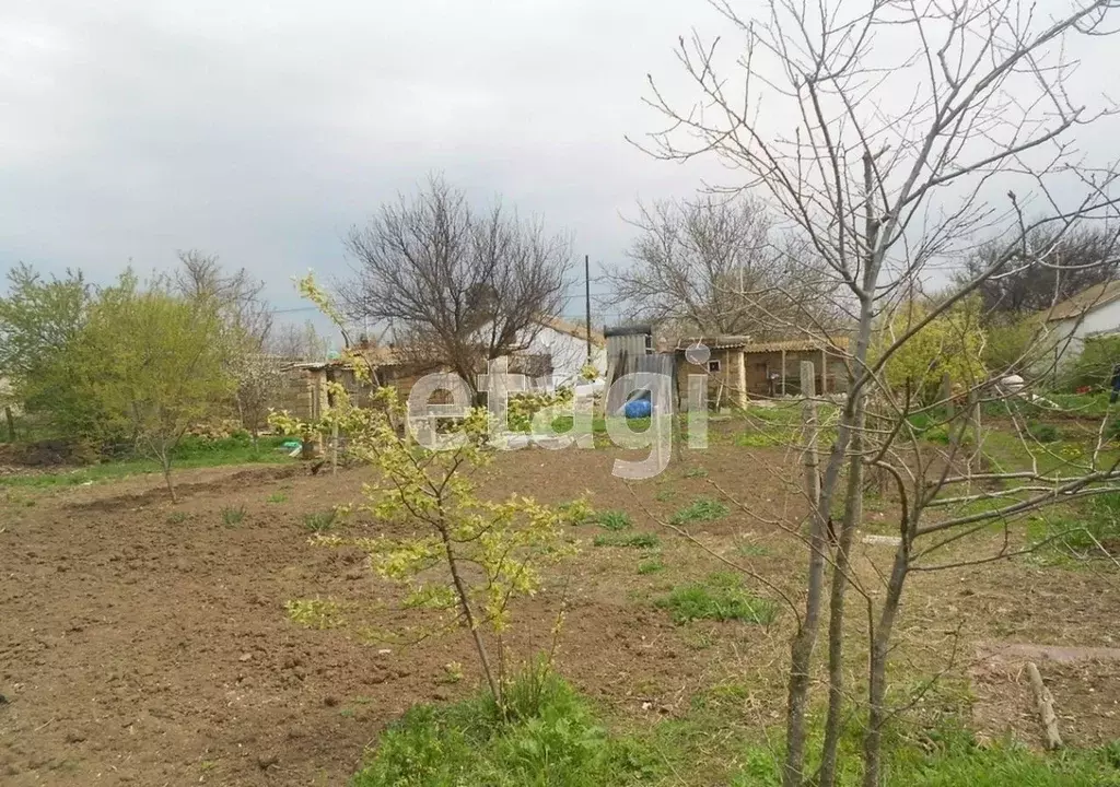 Дом в Крым, Черноморский район, Окуневское с/пос, с. Марьино ул. ... - Фото 1