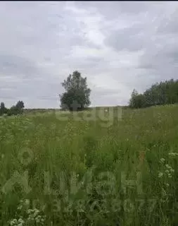 Участок в Ярославская область, Тутаевский муниципальный округ, д. ... - Фото 2