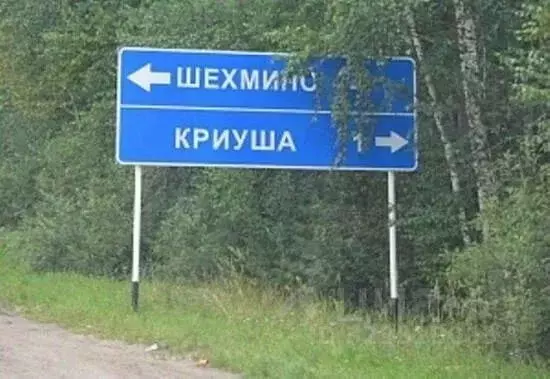 Участок в Рязанская область, Рыбновский муниципальный округ, с. ... - Фото 1