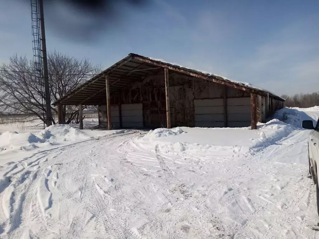 Склад в Оренбургская область, Оренбургский район, с. Дедуровка ул. ... - Фото 0