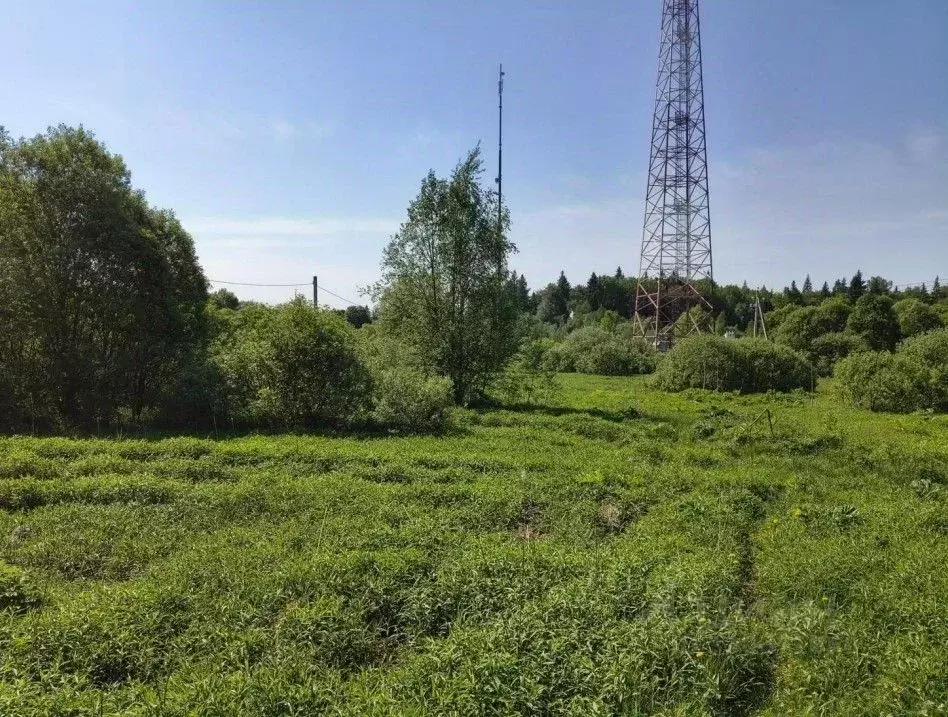 Участок в Московская область, Дмитровский муниципальный округ, д. ... - Фото 1