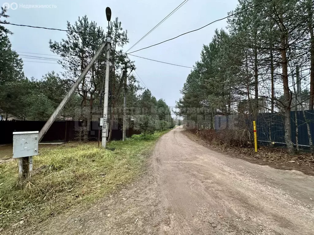 Участок в Смоленский муниципальный округ, деревня Уфинье (100 м) - Фото 2