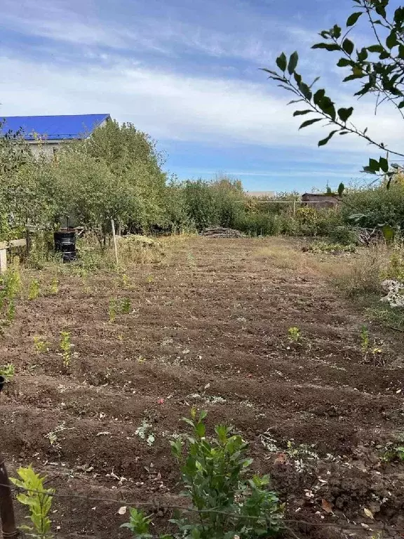 Участок в Оренбургская область, Оренбургский район, с. Беленовка ул. ... - Фото 0