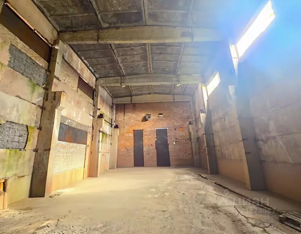 Производственное помещение в Ленинградская область, Кингисеппский ... - Фото 0