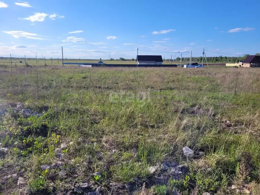 Участок в Ульяновская область, Чердаклинский район, Мирновское с/пос, ... - Фото 1