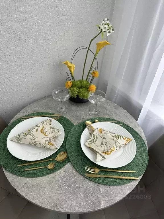 Студия Самарская область, Самара Ново-Садовая ул., 273 (14.0 м) - Фото 1