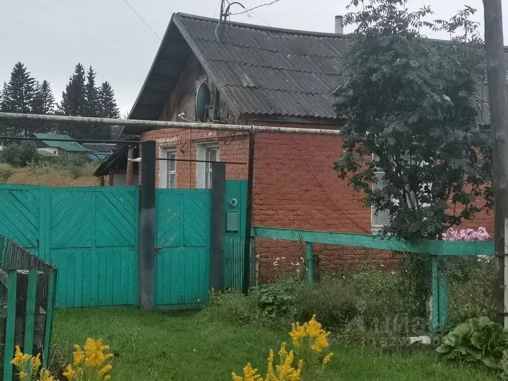 Дом в Омская область, Крутинка рп ул. Гагарина, 13 (26 м) - Фото 2