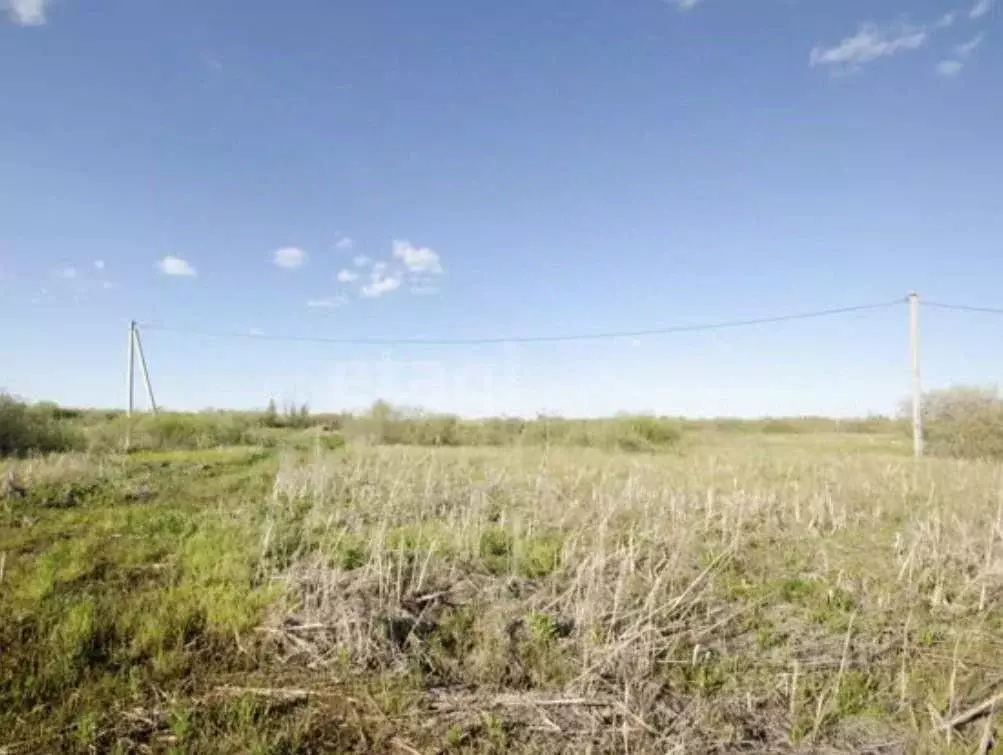 Участок в Волгоградская область, Среднеахтубинский район, Рахинское ... - Фото 1