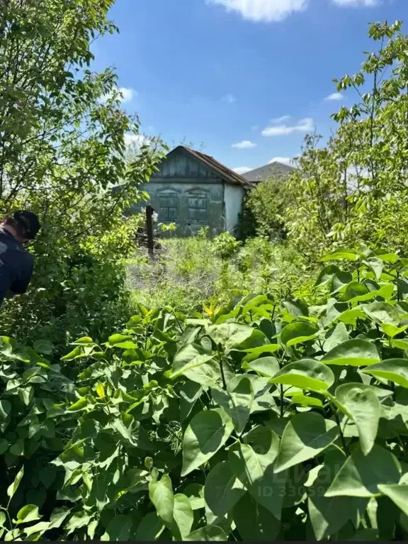 Участок в Ростовская область, Новочеркасск № 12 садовое товарищество, ... - Фото 2