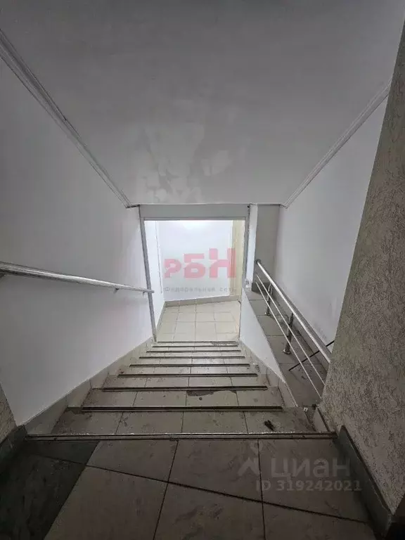 Торговая площадь в Пензенская область, Пенза ул. Антонова (145 м) - Фото 2