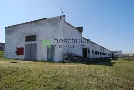 Производственное помещение в Крым, Симферопольский район, с. Урожайное ... - Фото 0