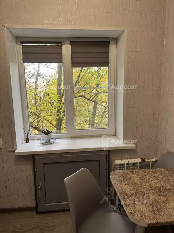 1-к кв. Волгоградская область, Волгоград ул. Курчатова, 16А (31.0 м) - Фото 1