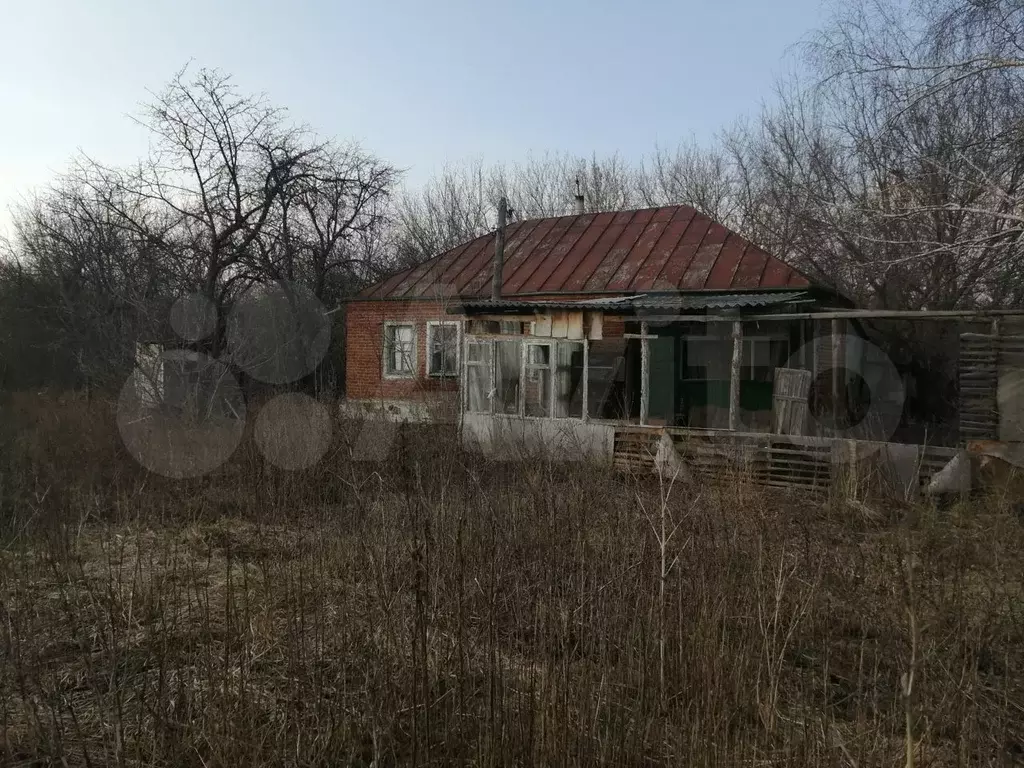 Купить Дачу В Рыкани Новоусманского
