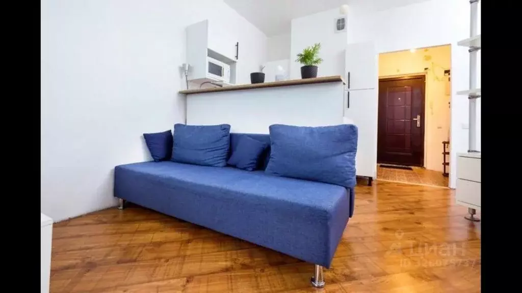 Студия Санкт-Петербург ул. Антонова-Овсеенко, 5к1 (25.0 м) - Фото 1