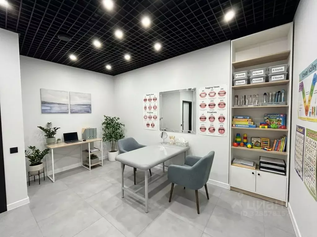 Помещение свободного назначения в Москва Староконюшенный пер., 32 (14 ... - Фото 2