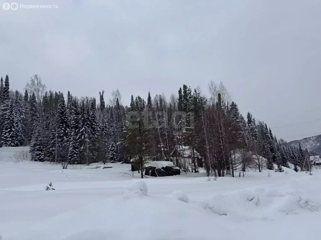 Участок в село Турочак, Цветочная улица (28.63 м) - Фото 2