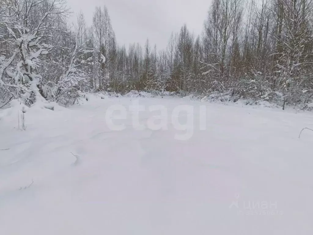 Участок в Ленинградская область, Всеволожский район, Рахья рп ул. ... - Фото 1