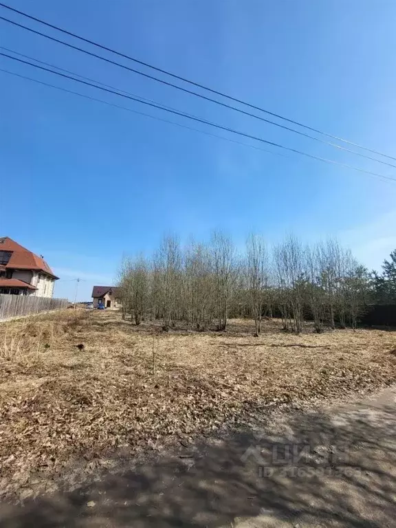 Участок в Ленинградская область, Ломоносовский район, Ропшинское ... - Фото 1