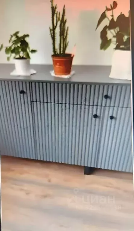 1-к кв. Санкт-Петербург ул. Пейзажная, 24к1 (31.0 м) - Фото 1