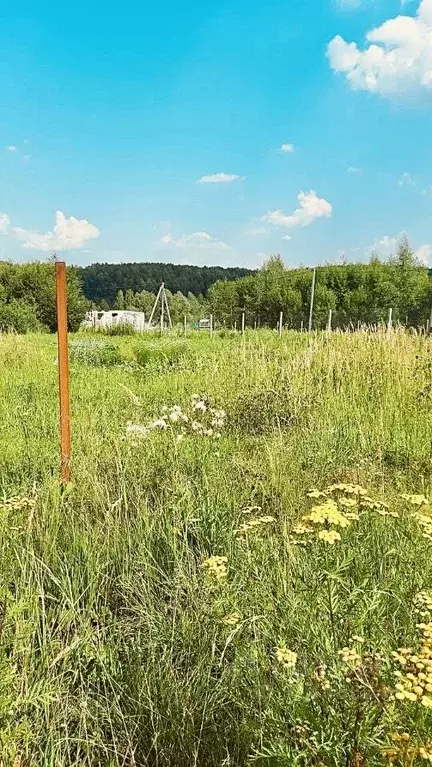 Участок в Нижегородская область, Богородский муниципальный округ, д. ... - Фото 0