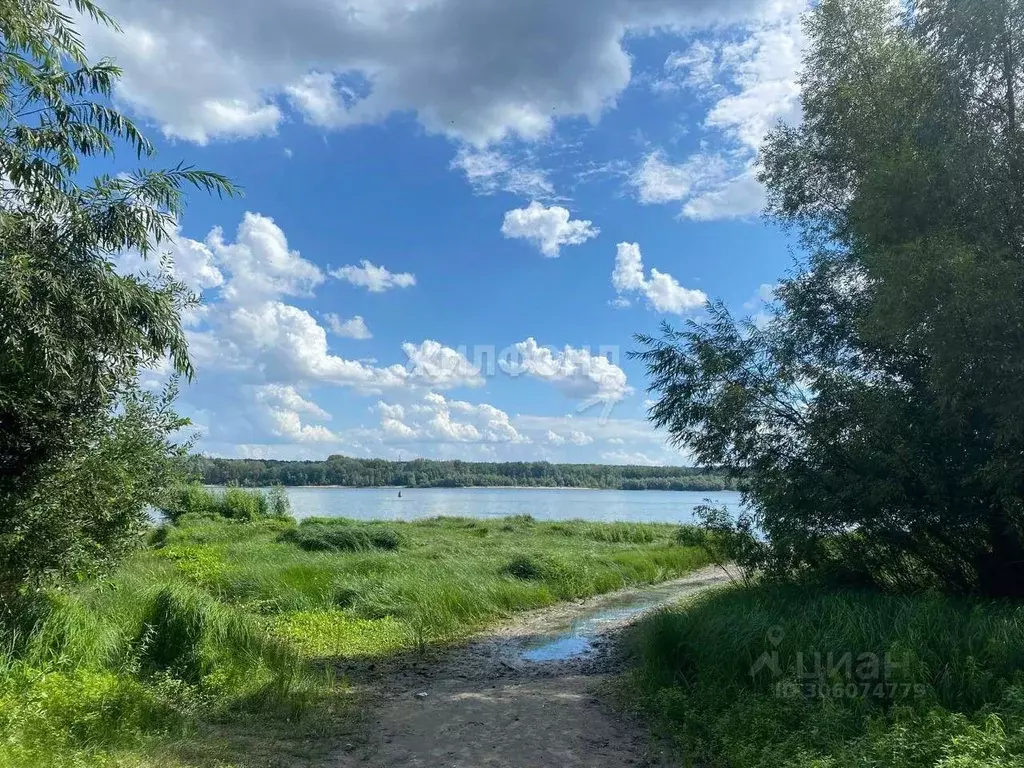 Дом в Новосибирская область, Новосибирский район, Кудряшовский ... - Фото 1