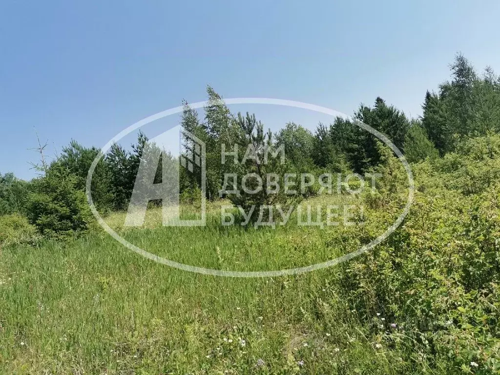 Участок в Пермский край, Добрянка ул. Березовая, 21 (10.0 сот.) - Фото 0