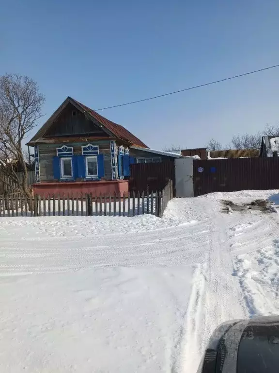 Дом в Саратовская область, Балаковский район, с. Маянга ул. Чапаева, ... - Фото 0