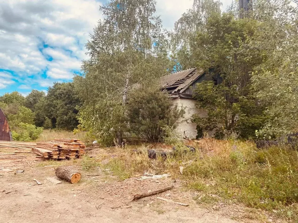 Склад в Ульяновская область, Новоспасский район, Троицкосунгурское ... - Фото 1