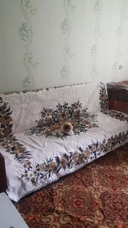 2-к. квартира, 47 м, 4/5 эт. - Фото 0
