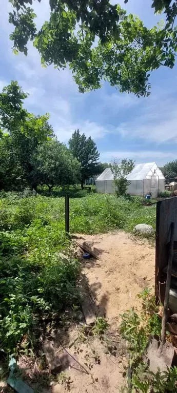 Дом в Воронежская область, с. Новая Усмань ул. Крамского, 40 (68 м) - Фото 0