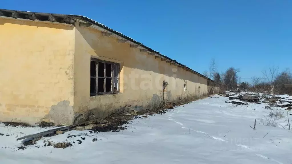 Склад в Смоленская область, Смоленский муниципальный округ, с. ... - Фото 1