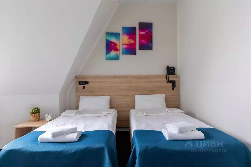 Комната Санкт-Петербург Большая Московская ул., 8/2 (20.0 м) - Фото 2