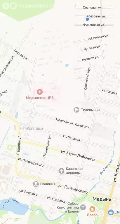 Дом в Медынь, Берёзовая улица (85.5 м) - Фото 2