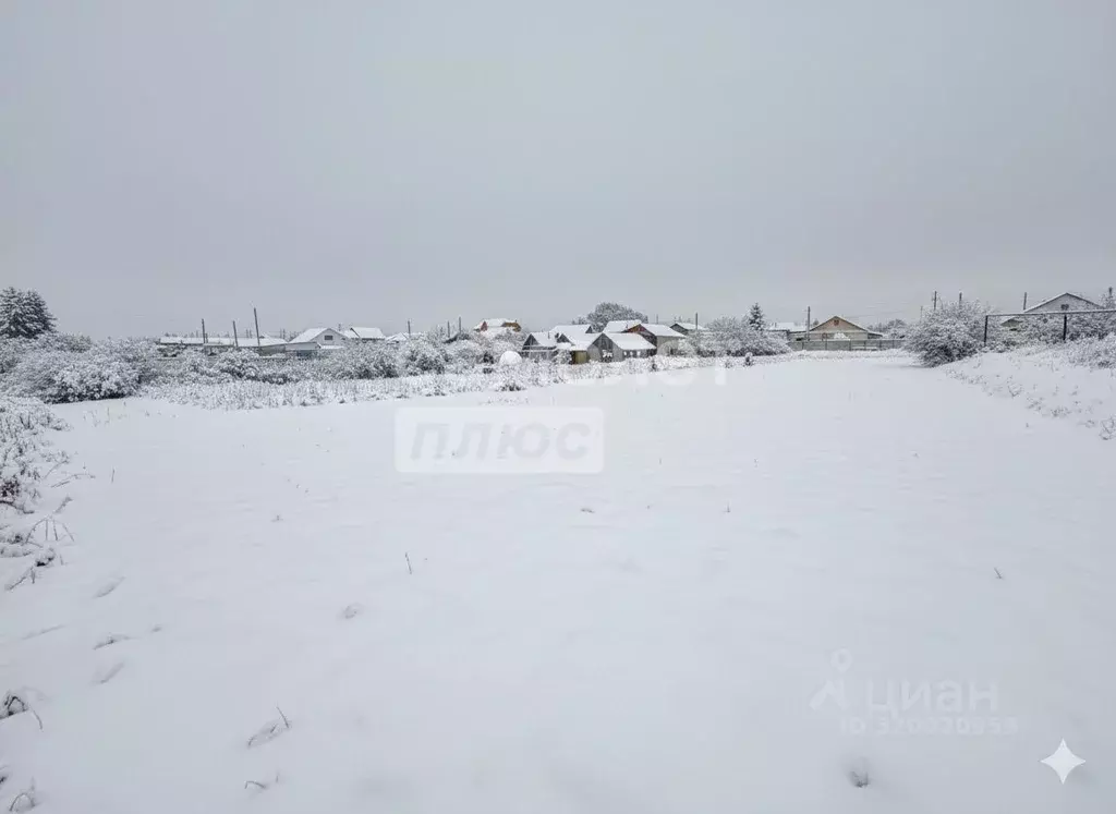 Участок в Ульяновская область, Ульяновский район, с. Большие Ключищи ... - Фото 1