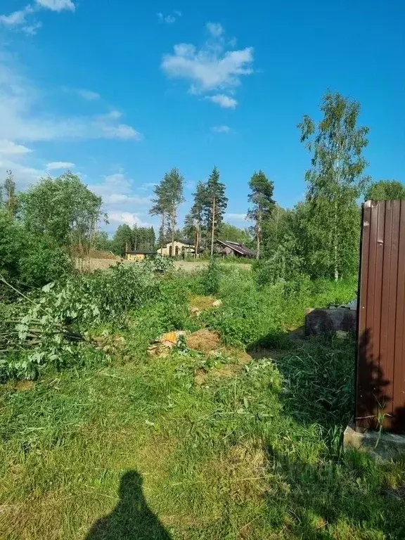 Участок в Ленинградская область, Всеволожский район, Бугровское ... - Фото 2