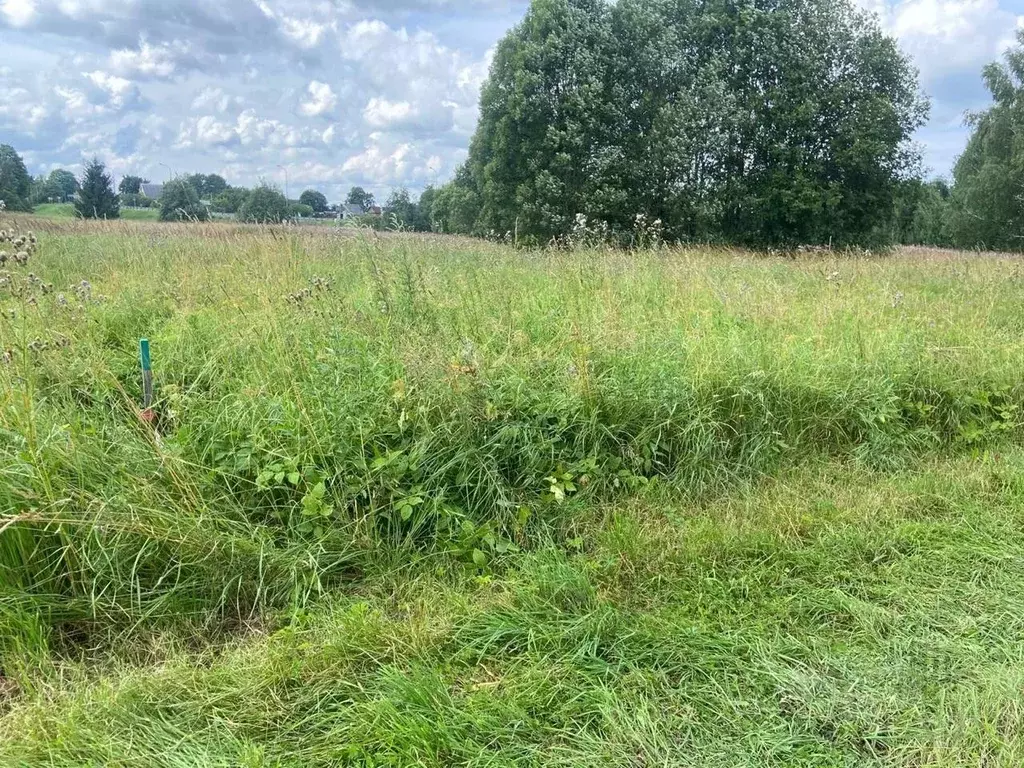 Участок в Ленинградская область, Волосовский район, Большеврудское ... - Фото 1