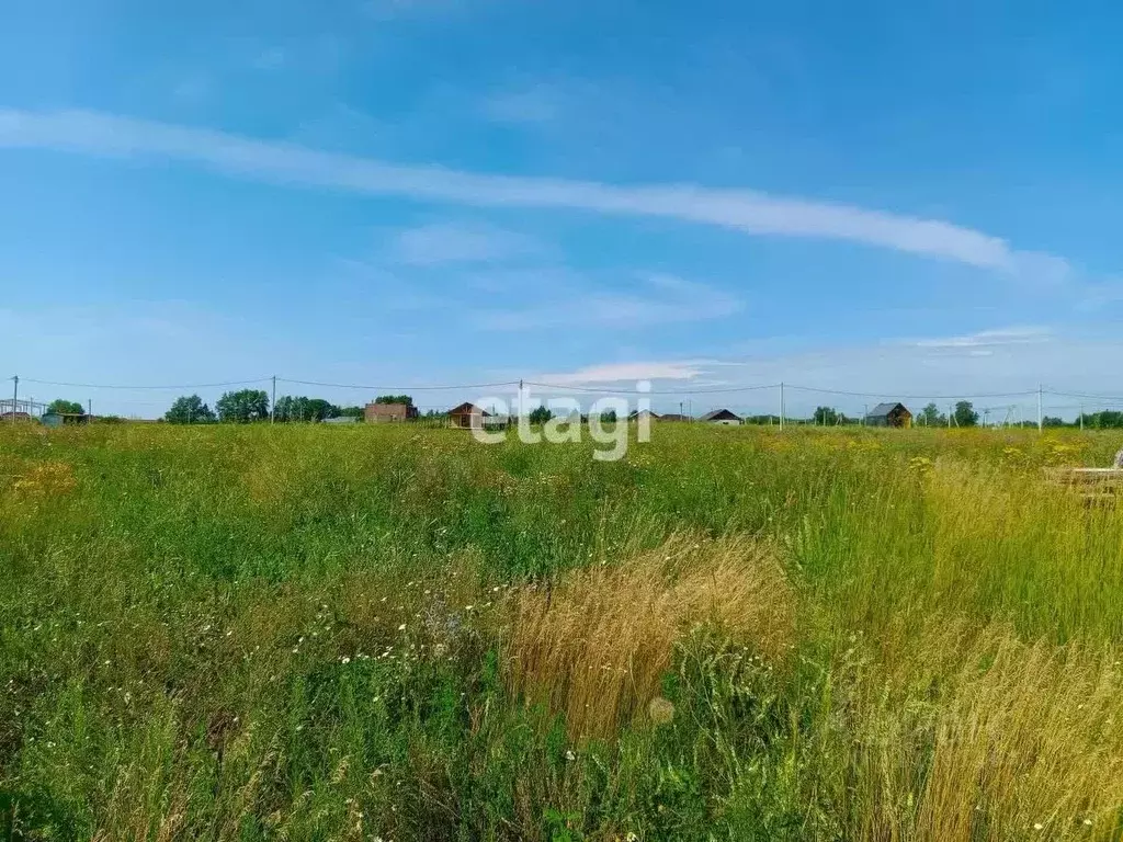 Участок в Новосибирская область, Новосибирский район, Морской ... - Фото 1