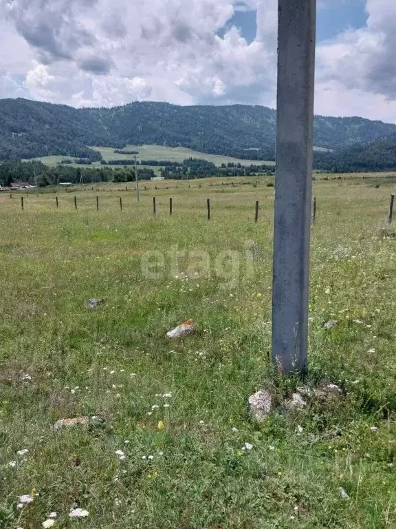 Участок в Алтай, Усть-Коксинский район, с. Власьево Родниковая ул., 8 ... - Фото 0