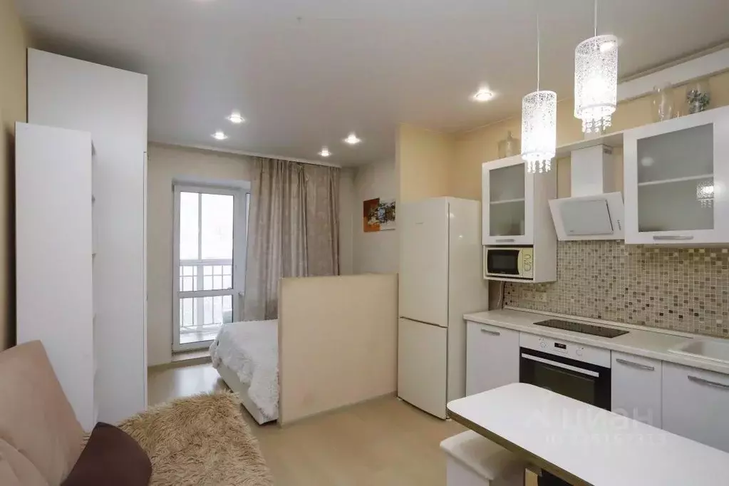 Студия Иркутская область, Иркутск ул. Пушкина, 36/1 (25.2 м) - Фото 2