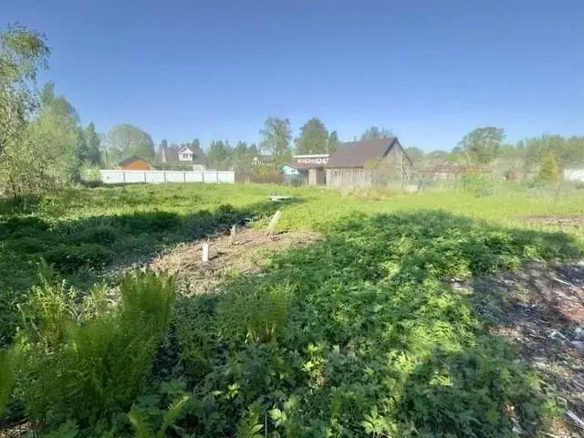 Участок в Ленинградская область, Ломоносовский район, Лебяженское ... - Фото 2