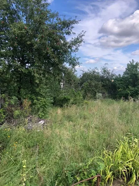 Дом в Воронежская область, Семилукский район, Губаревское с/пос, Химик ... - Фото 1